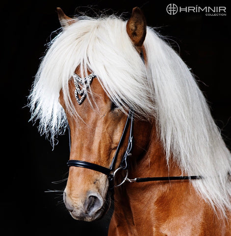 Hrimnir Headstall Heritage Unity