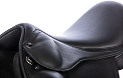Eques Gold by Black