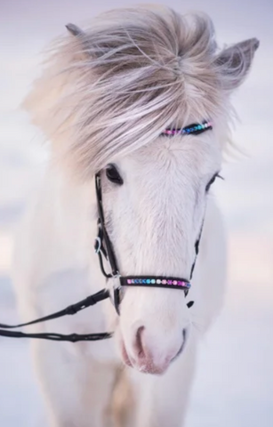 Bridle with Rainbow Stones