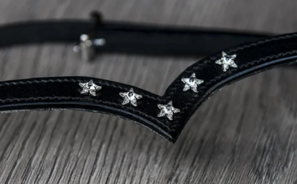Bridle with Star detail