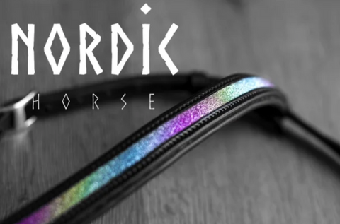 Bridle with rainbow glitter detail