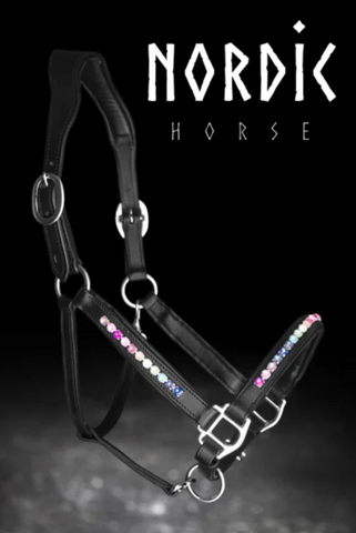 Leather Halter with Rainbow stones