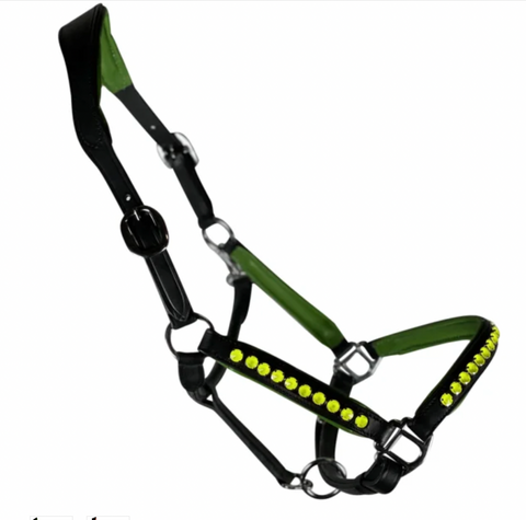 Leather halter with Neon Green stones and padding