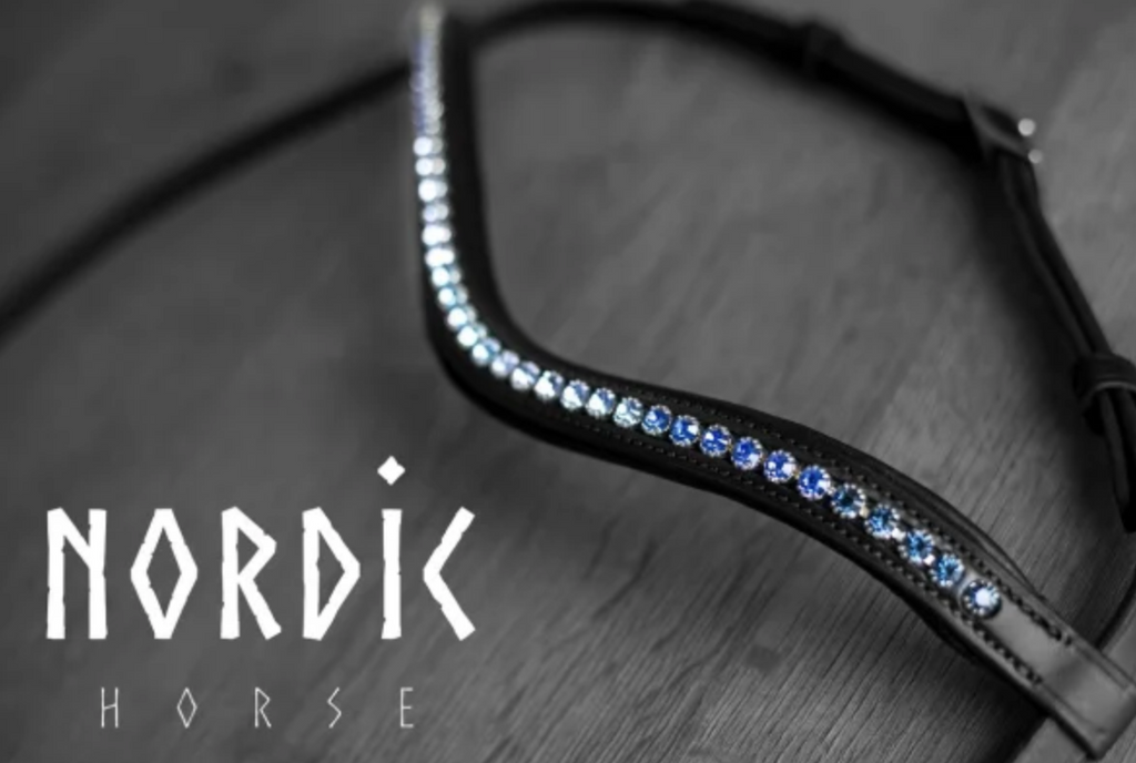 Bridle with a Ombre Blue stones