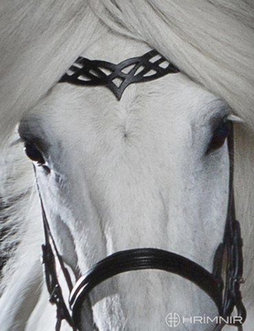 Hrimnir Headstall B