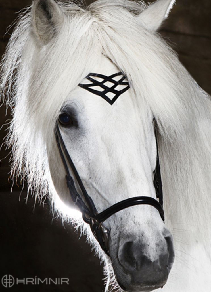 Hrimnir Headstall C