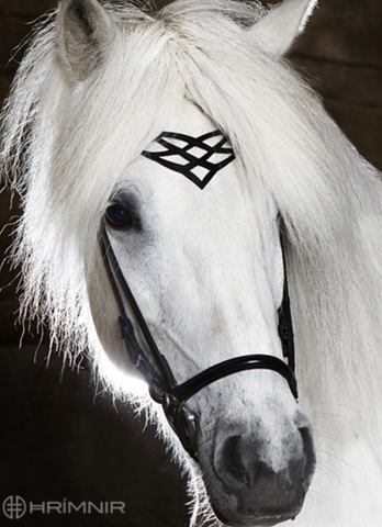Hrimnir Headstall C