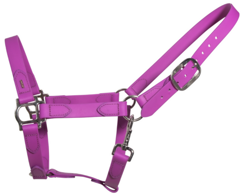 SuperStrap Rubber Halter - Purple