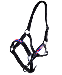 Halter with the Icelandic Flag and a rope