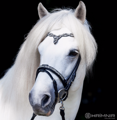 Hrimnir Flash Noseband - Fire and Ice