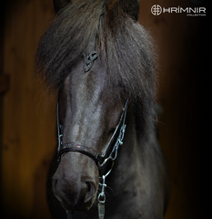 Hrimnir Noseband - Lava