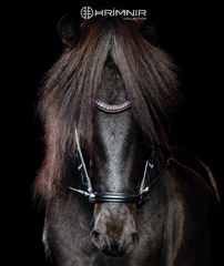 Hrímnir Headstall Rosa