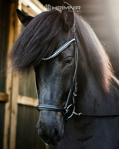 Hrímnir Headstall Ice