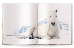 Horses of Iceland by Guadalupe Laiz