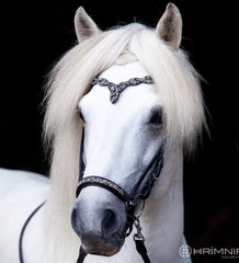 Hrimnir Noseband - Fire and Ice