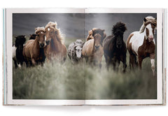 Horses of Iceland by Guadalupe Laiz