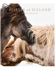 Horses of Iceland by Guadalupe Laiz