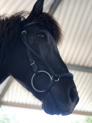 Soft Leather Bridle with silver detail
