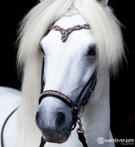 Hrimnir Headstall Sunset Rose