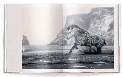 Horses of Iceland by Guadalupe Laiz